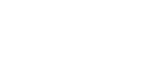 Dub